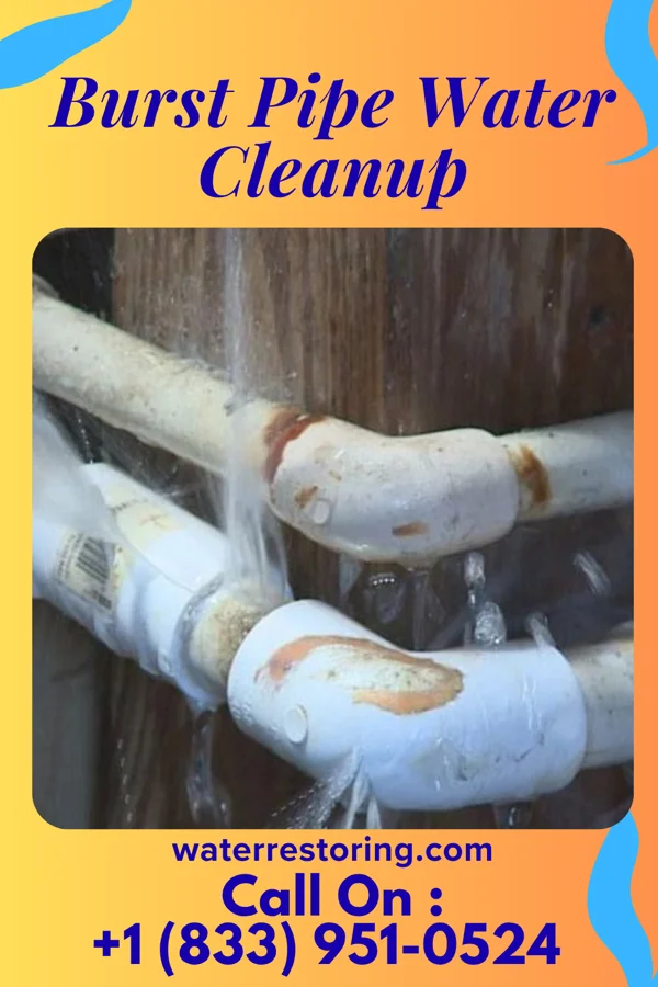 Burst Pipe Water Cleanup in Mount Healthy Heights, OH