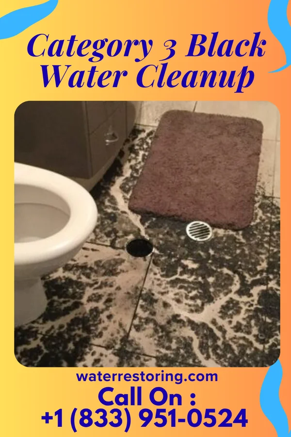 Category 3 Black Water Cleanup in Mount Healthy Heights, OH